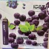 IGE7 e-cigarette 2000 puffs 【Multiple Flavors - Randomly Shipped】-3